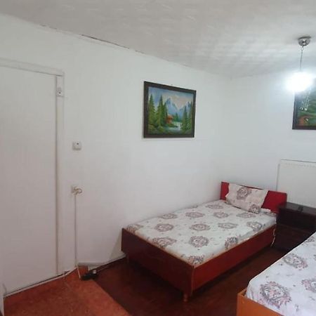 Casa Pitaru Hotell Calafat Exteriör bild
